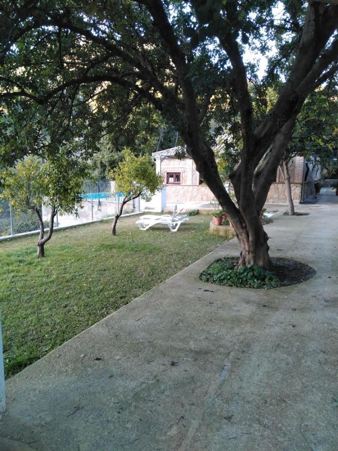 La Fuente De El Nacimiento Guest House Benamahoma Luaran gambar