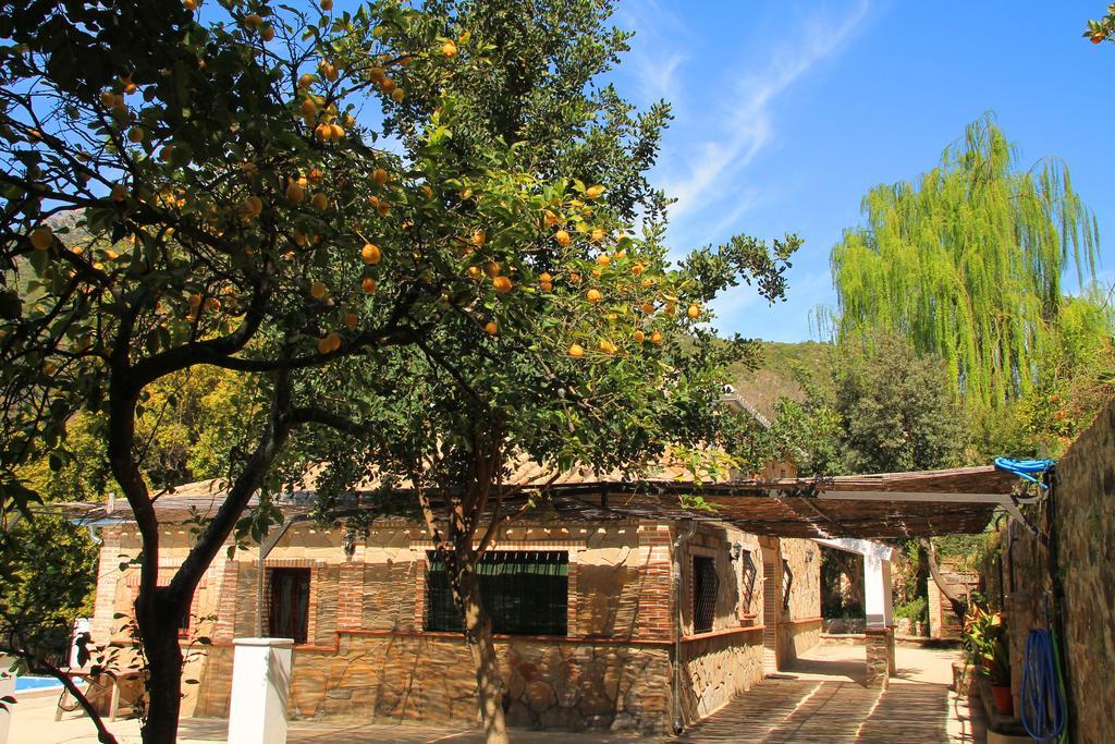 La Fuente De El Nacimiento Guest House Benamahoma Luaran gambar
